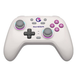 View product Wireless controler GameSir T4n (white)
