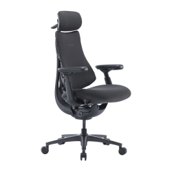 View product LiberNovo OC1-PRO 45cm Ergonomic Chair (Graphite)