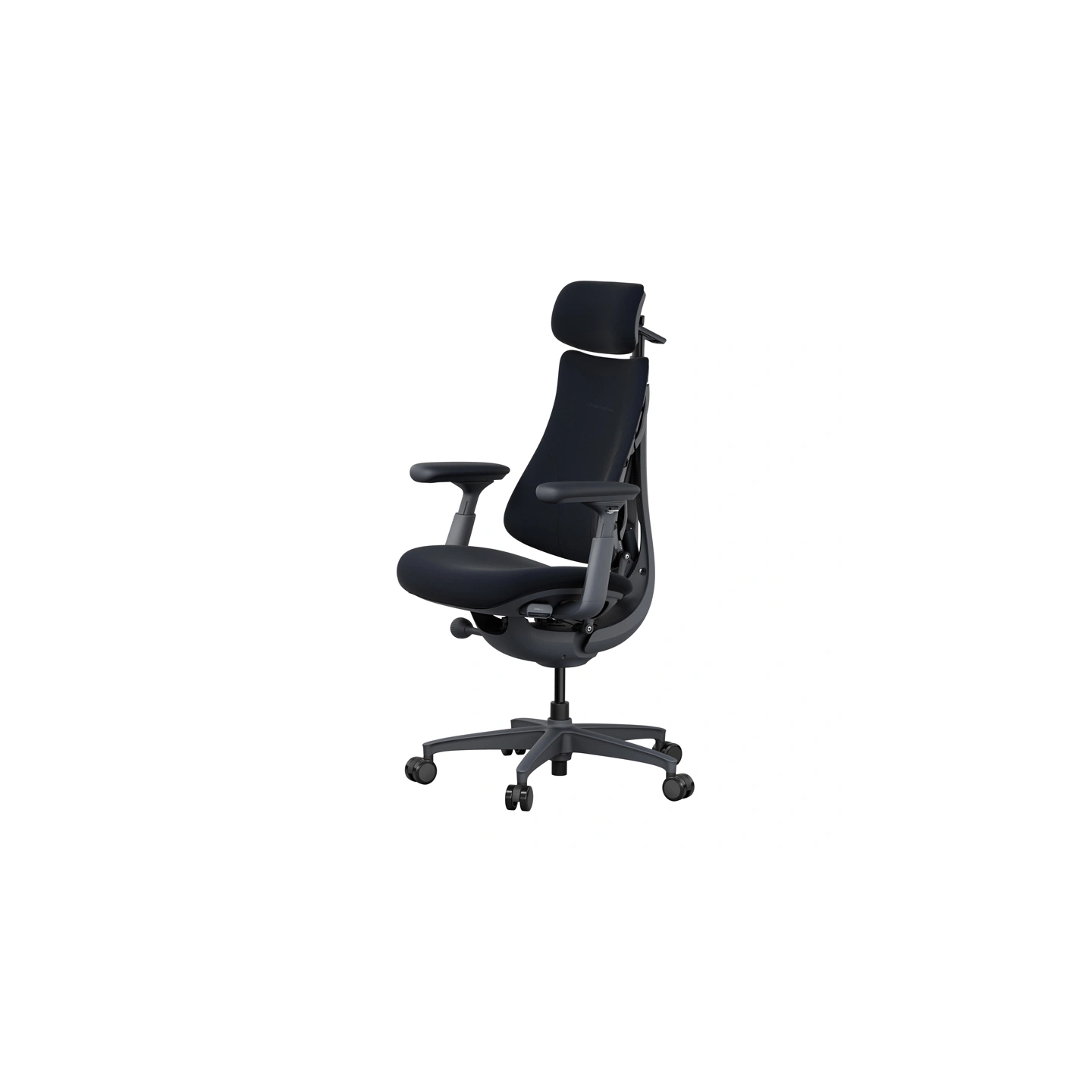 LiberNovo Omni 48 cm Ergonomic Chair (Black)