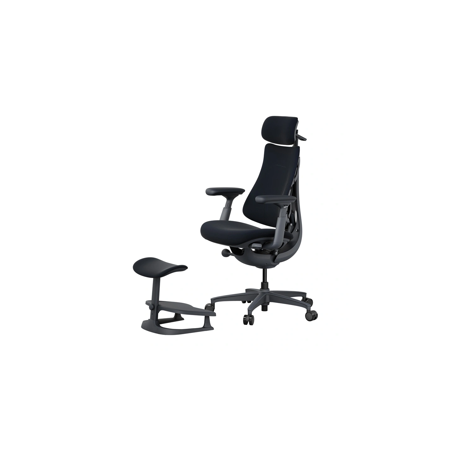 LiberNovo Omni 48 cm Ergonomic Chair (Black)