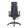 LiberNovo Omni 48 cm Ergonomic Chair (Black)