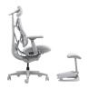 LiberNovo Omni Dynamic 45 cm Ergonomic Chair (Gray)