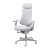 LiberNovo Omni Dynamic 48 cm Ergonomic Chair (Gray)