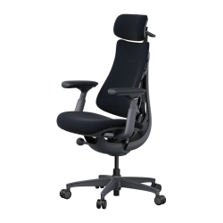 View product LiberNovo Omni Dynamic 45 cm Ergonomic Chair (Black)