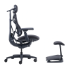 LiberNovo Omni Dynamic 45 cm Ergonomic Chair (Black)