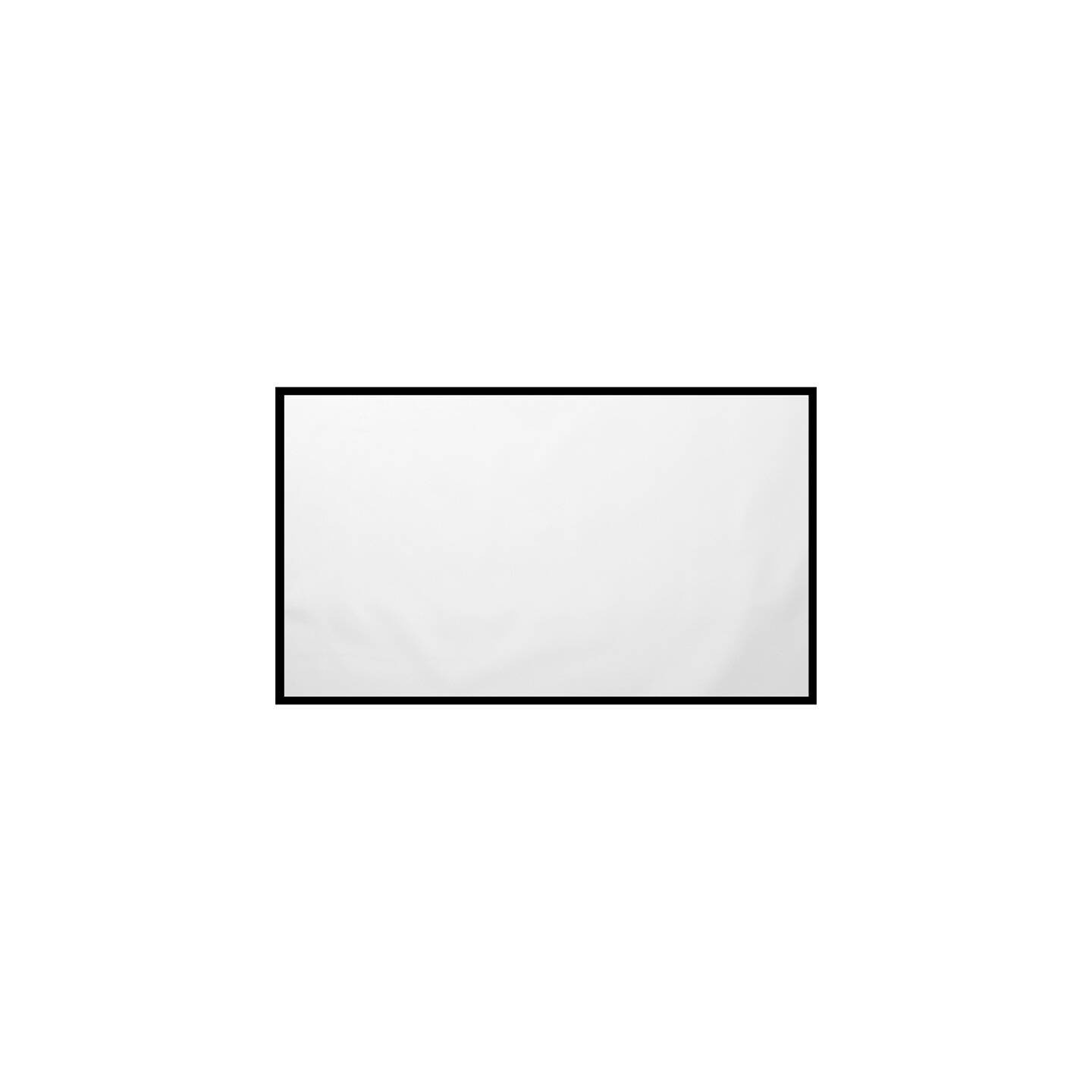BlitzWolf BW-VS4 100" projection screen.