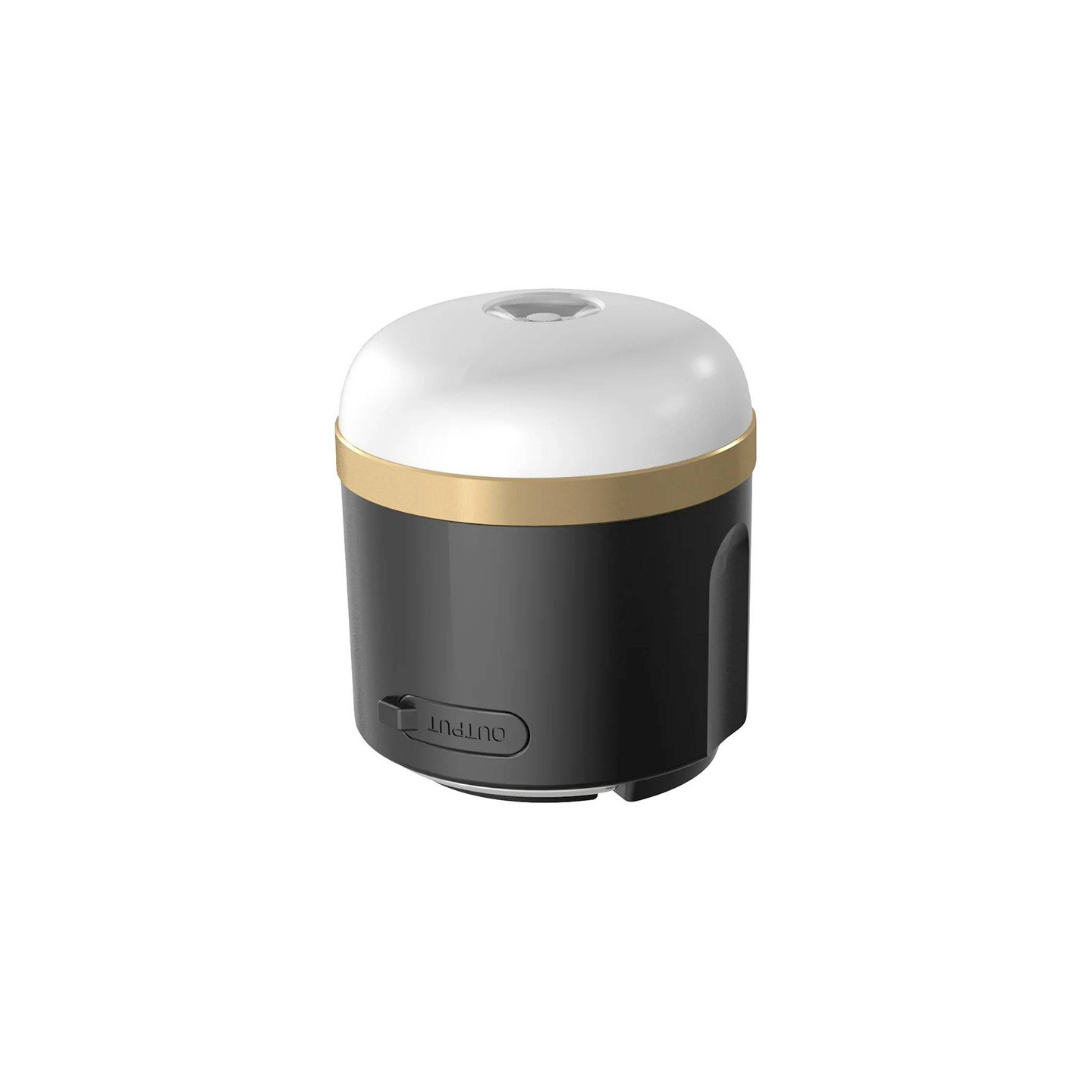 EcoFlow camping light (N).