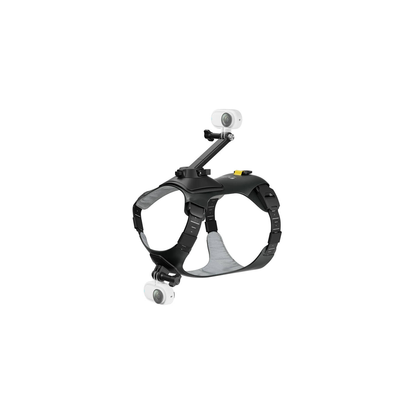 Pet harness size M for mounting Insta360 GO 3/ GO 3S cameras