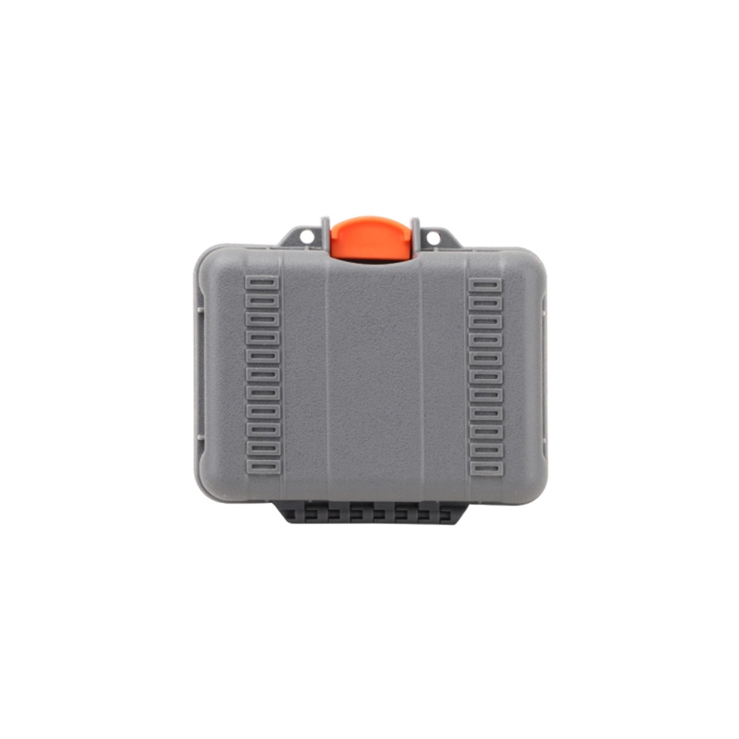 Twarde etui mini Sunnylife do Action 6