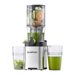 View product AMZCHEF CE-ZM1902B-SV Slow Juicer