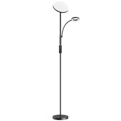 View product Double Floor Lamp with remote BlitzWill BWL-FL-0001, 36W (black)