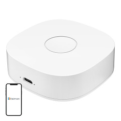 View product Smart home WS2GW-R WiFi