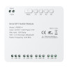 DIY Avatto WSMD-4 32V smart switch module