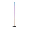 SWITCHBOT Floor Lamp RGBICWW
