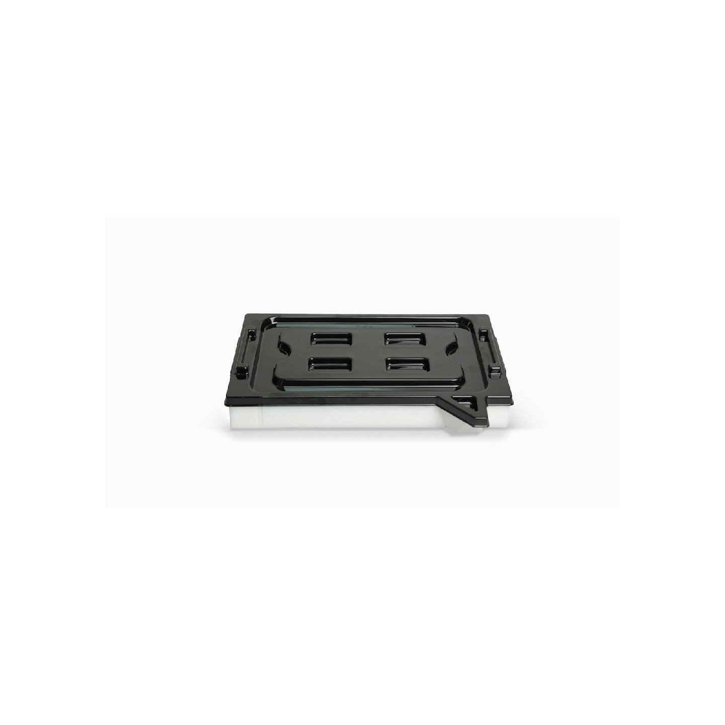 Raise3D DF2 Resin Tank with Storage Cover