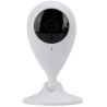 OrangeStorm Giga Camera