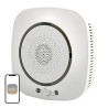 MOES WSS-S-GL Wi-Fi Gas Detector