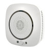 MOES WSS-S-GL Wi-Fi Gas Detector