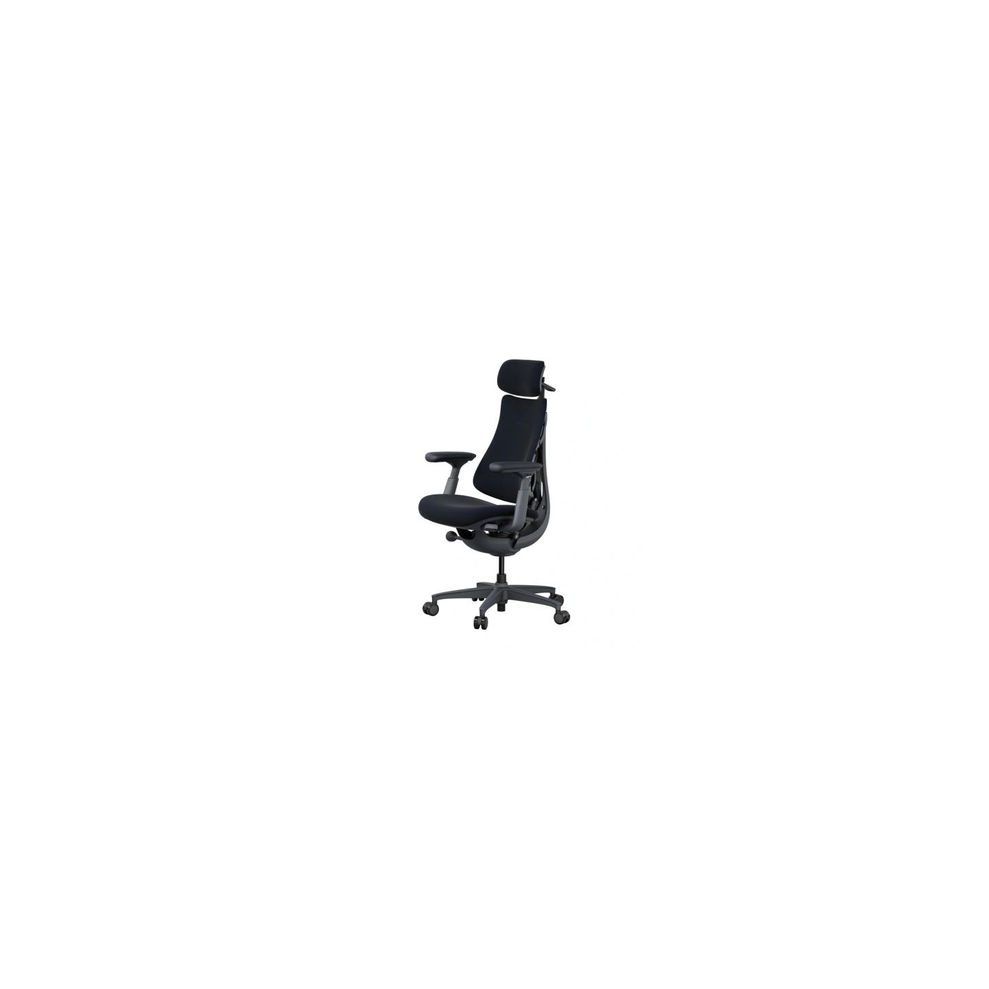 LiberNovo Omni 45 cm Ergonomic Chair (Black)