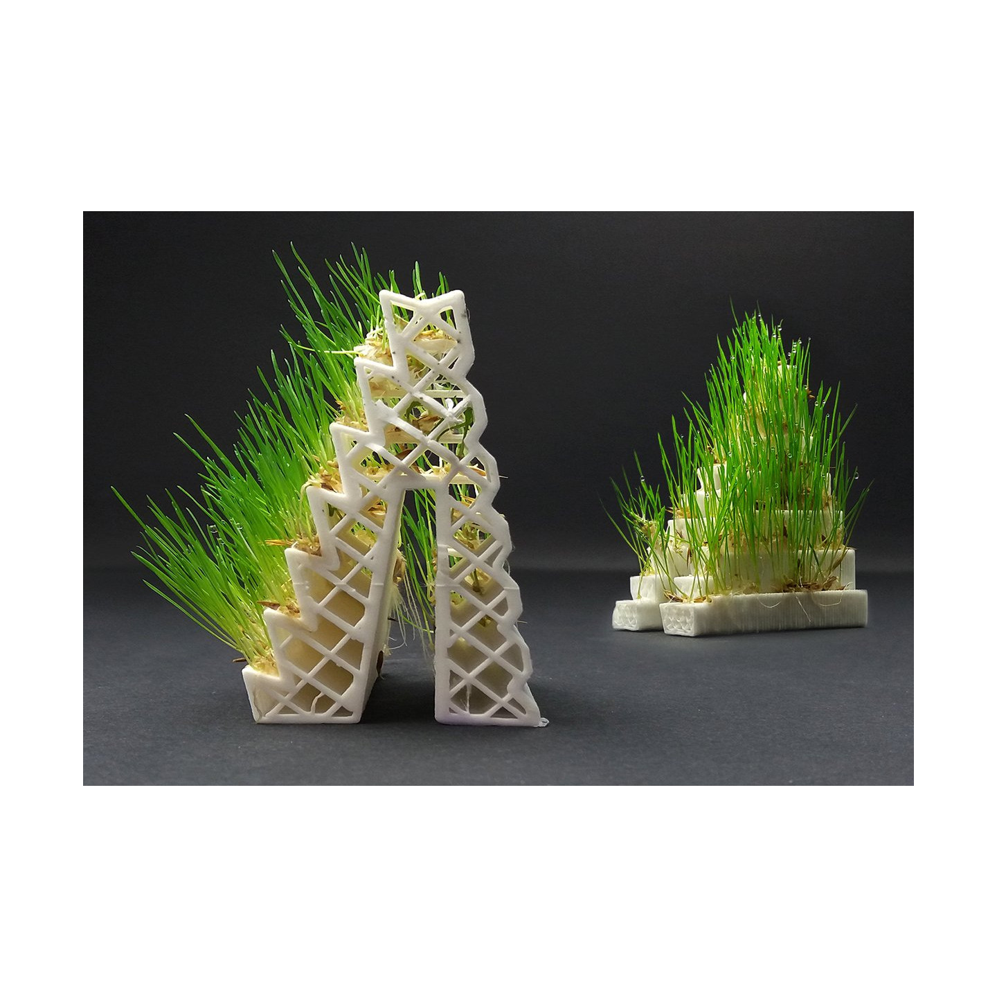 LayFilaments GROWLAY Filament - 1.75mm - 250 grams - Brown