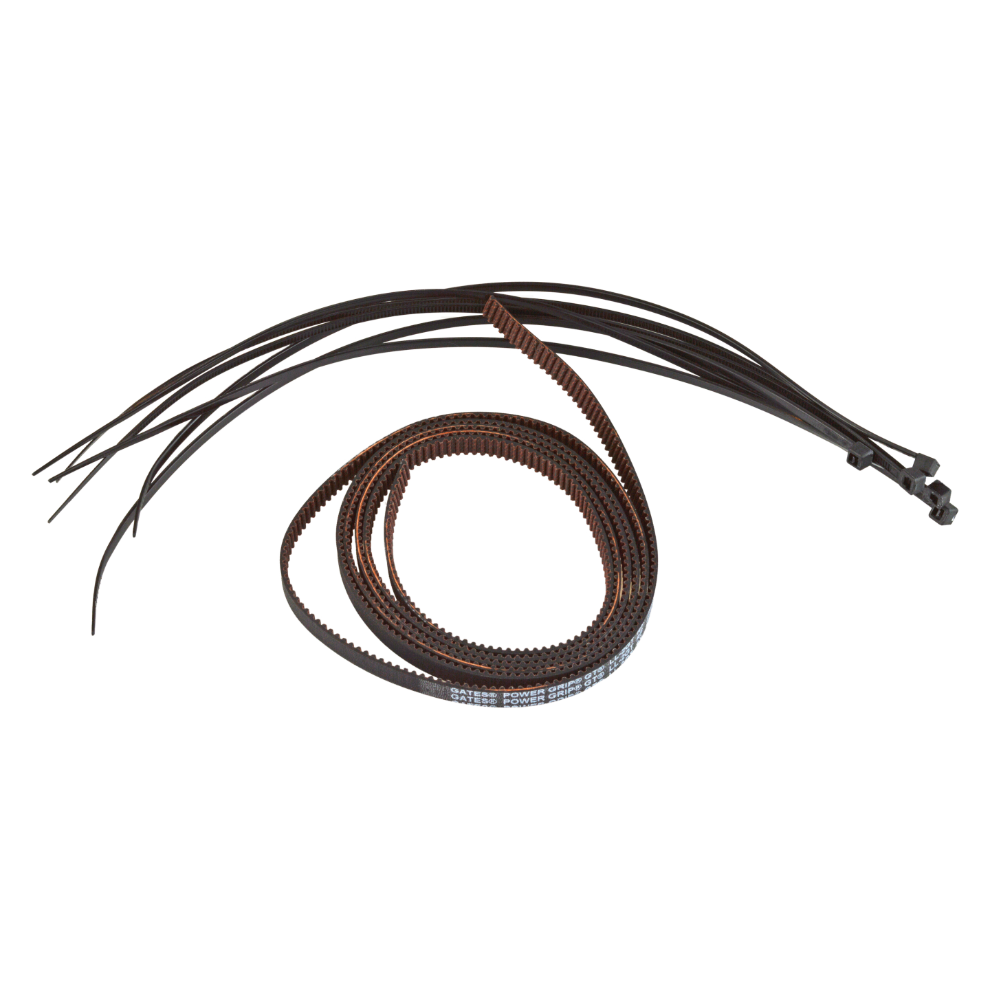 Formbot Troodon Z Belt for 300