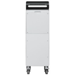 Raise3D Extra Build Unit 220