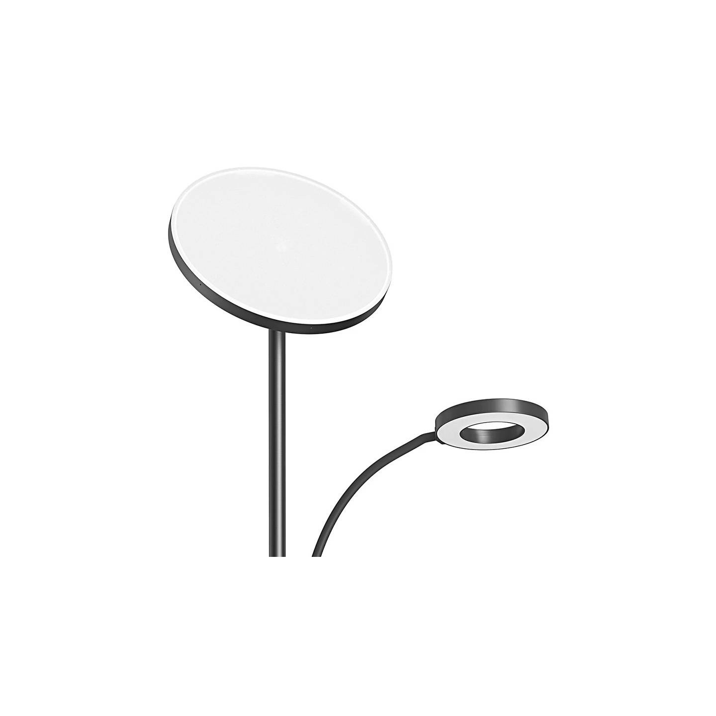 Double Floor Lamp with remote BlitzWill BWL-FL-0001, 36W (black)