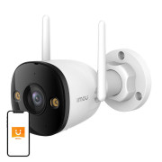 IP cameras